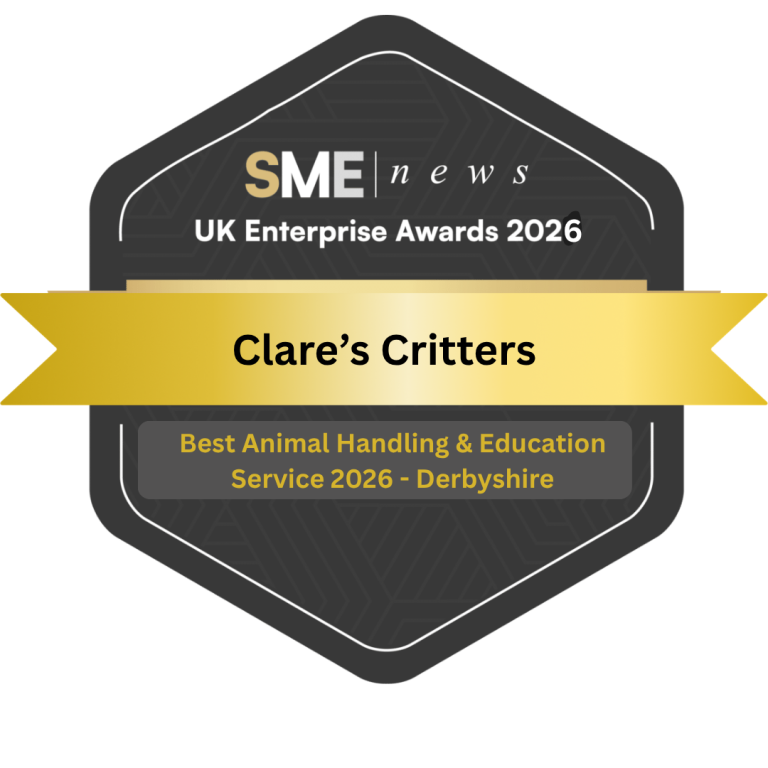 Uk enterprise winner - Best Animal Handling and Education Service 2026